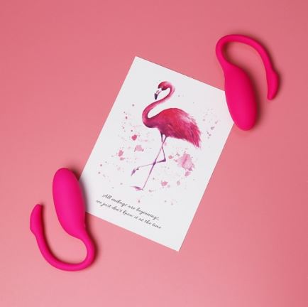Huevo Vibrador Flamingo Magic Motion