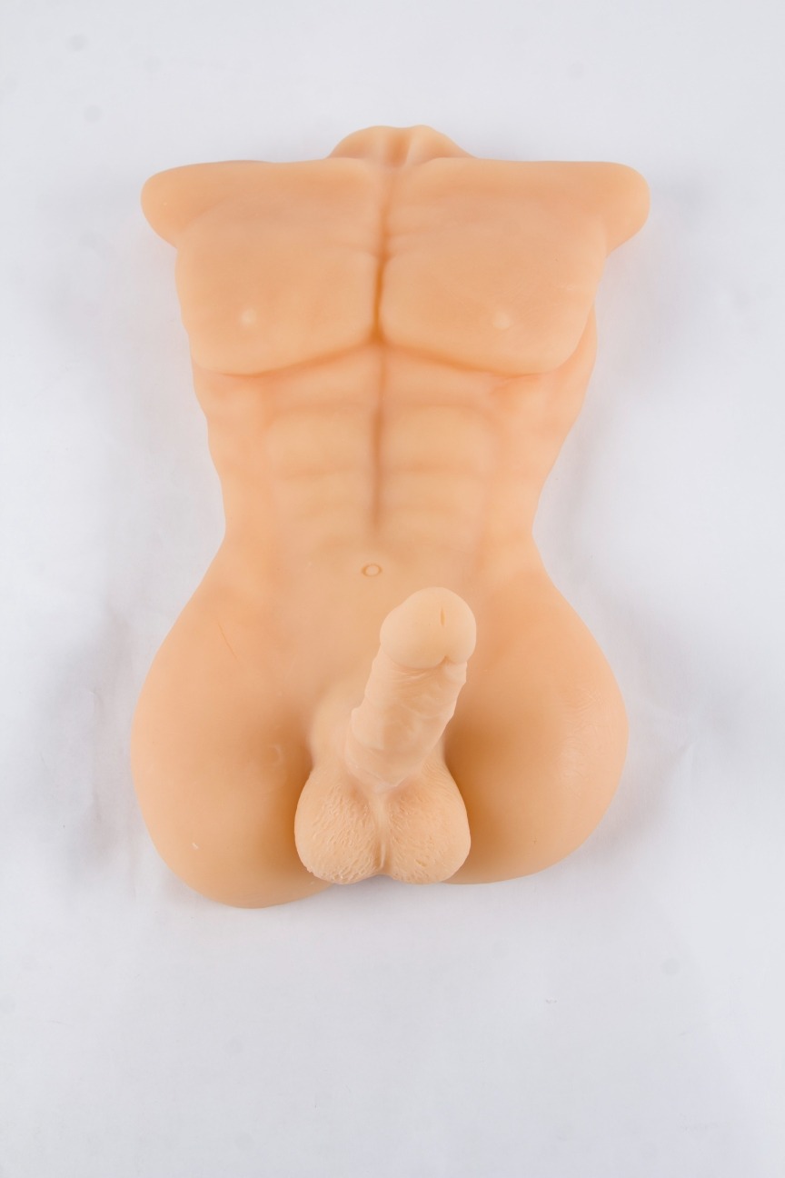 Torso