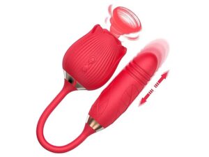 Rosa Succionador 2 en 1 con Dildo Vibrador Telescopico
